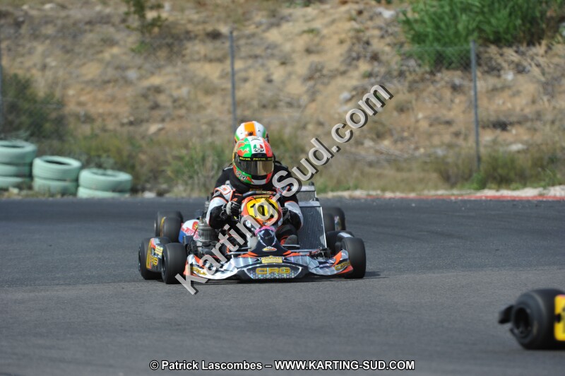 DSC (3226).JPG